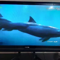 LCD TOSHIBA/توشیبا