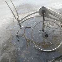 تنه دوچرخه جاپونی ورینگ|دوچرخه، اسکیت، اسکوتر|چمران, |دیوار