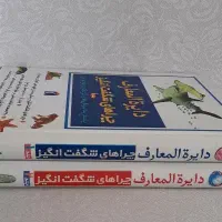 دایره المعارف چراهای شگفت انگیز