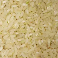 برنج کامفیروز عطر و بو عالی|خوردنی و آشامیدنی|یزد, |دیوار