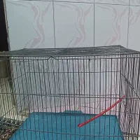 قفس پرنده