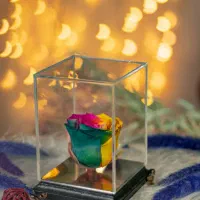 سلام به کوهدشتی های عزیز رز جاودان رسید|گل و گیاه طبیعی|کوهدشت, |دیوار