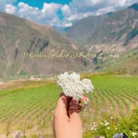 راهنمایی ازدواج