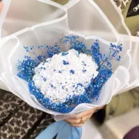 رز روبانی|گل مصنوعی|میاندوآب, |دیوار