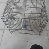 قفس پرنده سالم