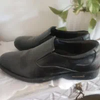 کفش مجلسی