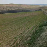 فروش زمین کشاورزی