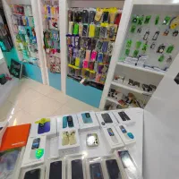 بورس انواع گوشی ساده