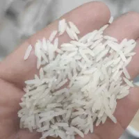 برنج|خوردنی و آشامیدنی|قم, نوبهار|دیوار