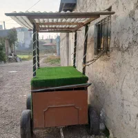 گاری|فروشگاه و مغازه|رشت, عینک|دیوار