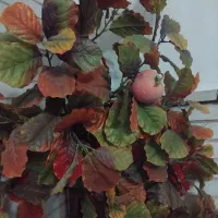 درختچه پاییزه