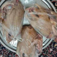 اردک پاک کرده ۲۸۰