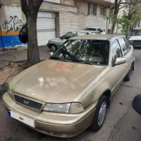 دوو سی یلو  خاص کم کارکرد مدل ۸۱