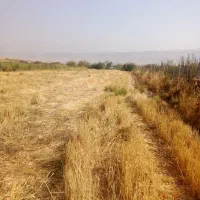 ماشین