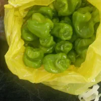 جذب نیرو|استخدام صنعتی، فنی، مهندسی|جیرفت, |دیوار