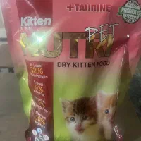 غذای خشک گربه نوتری پت نصف قیمت