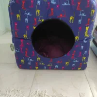 جای خواب پیشی