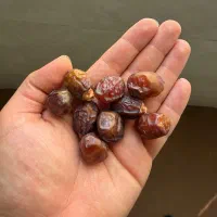 فروش ریزه و خرمای خاصه