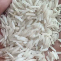 برنج درجه یک گیلانی|خوردنی و آشامیدنی|حویق, |دیوار