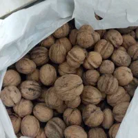 گردو|خوردنی و آشامیدنی|تهران, ائمه اطهار|دیوار