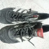 کفش های آقا و خانوم و ورزشی میخی|کیف، کفش، کمربند|تبریز, |دیوار