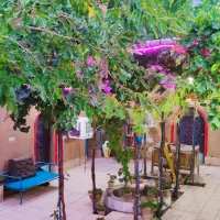 بومگردی و سوییت دربست-با نظارت میراث فرهنگی