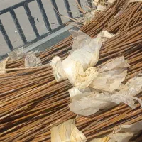 خرید سیم باغی کشاورزی|خدمات باغبانی و درختکاری|شبانکاره, |دیوار