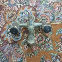 شیر حمام. برنجی