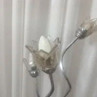 کنار سا لنی آباژور