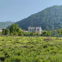 فروش زمین مسکونی|فروش زمین و ملک کلنگی|رامسر, |دیوار