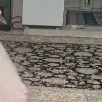 دوتا فرش ۱۲ متری تازه شسته شده