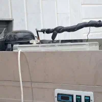 فریزر دو در بدونه برفک|یخچال و فریزر|بندر ترکمن, |دیوار