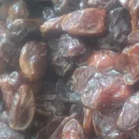 خرما  کبکاب  درجه  یک  کیلو  ۲۸۰