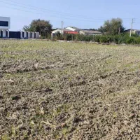 فروش زمین مناسب ویلاسازی|فروش زمین و ملک کلنگی|طبقده, |دیوار