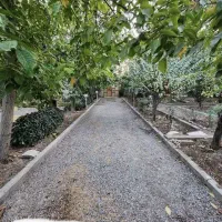 باغ خان زنیان