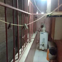 آپارتمان|اجارهٔ آپارتمان|بندر ماهشهر, |دیوار