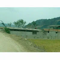 اجاره دامداری