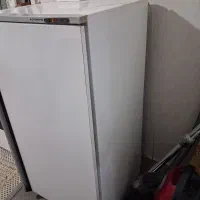 فریزر بگنش|یخچال و فریزر|شاهین‌شهر, مخابرات (شهید بهشتی)|دیوار