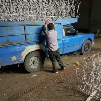 حفاظ شاخ گوزنی|خدمات پیشه و مهارت|اردبیل, |دیوار