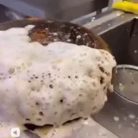 چربیزدای آلمان