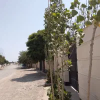 250مترزمین-دست-اول-ساخت-سهیلیه-زعفرانیه-کردان