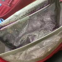 کیف مدرسه مدل چرخ دار برند اصلی دلسی|کیف، کفش، کمربند|شیراز, قصرالدشت|دیوار