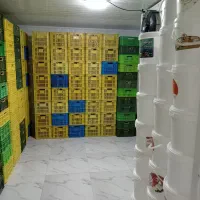 دعوت به همکاری و استخدام و جذب بازاریاب و ویزیتور|استخدام بازاریابی و فروش|نجفآباد, دفاع مقدس|دیوار