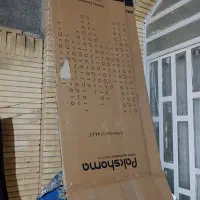 کارتن