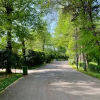 شهرک برند و با اصالت فردوس رویان