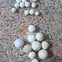 سنگ الماس یاآسیاب