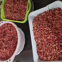 آب انار تازه طبیعی ارگانیک یک لیتری|خوردنی و آشامیدنی|قم, قلعه کامکار|دیوار