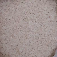 برنج هاشمی ارگانیک ممتاز