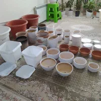 گلدان سرامیکی و پلاستیکی