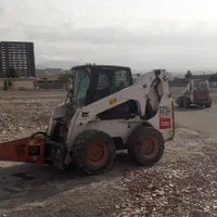 بابکت پیکوردار  با گواهینامه ویژه